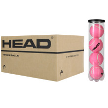 CARTON DE 18 TUBES DE 4 BALLES HEAD CHAMPIONSHIP ROSE